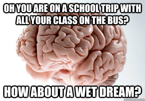 OH YOU ARE ON A SCHOOL TRIP WITH ALL YOUR CLASS ON THE BUS? HOW ABOUT A WET DREAM?  Scumbag Brain