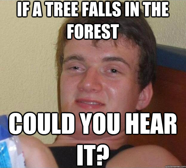 IF A TREE FALLS IN THE FOREST COULD YOU HEAR IT?  The High Guy