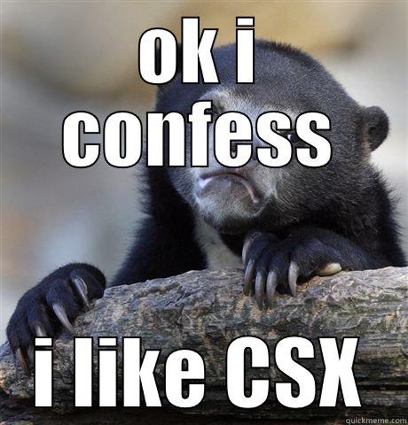 OK I CONFESS I LIKE CSX Confession Bear