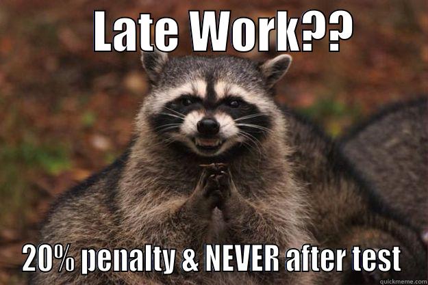 late work -           LATE WORK??         20% PENALTY & NEVER AFTER TEST Evil Plotting Raccoon