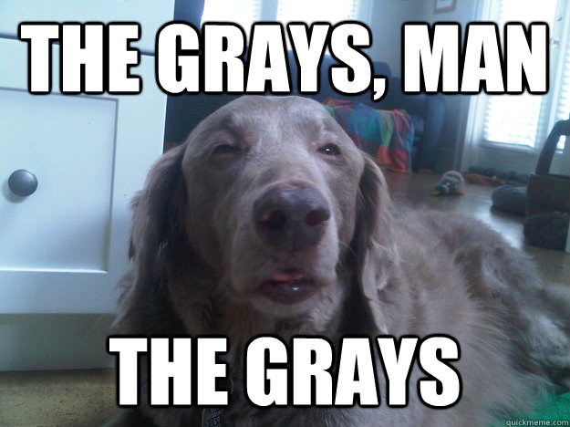 The Grays, Man the grays  10 Dog