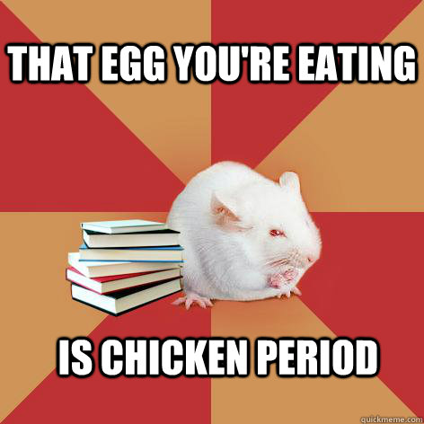 That egg you're eating is chicken period - That egg you're eating is chicken period  Science Major Mouse