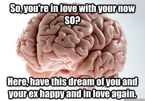 So, you're in love with your now SO? Here, have this dream of you and your ex happy and in love again.   Scumbag Brain