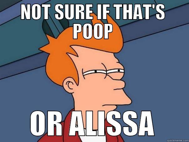 NOT SURE IF THAT'S POOP OR ALISSA Futurama Fry