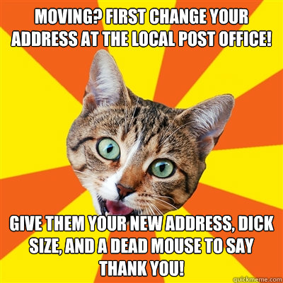 moving? first change your address at the local post office! give them your new address, dick size, and a dead mouse to say thank you!  Bad Advice Cat