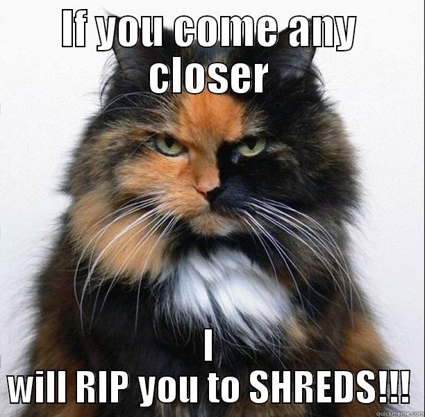 If you come any closer I will RIP you to SHREDS!!! - IF YOU COME ANY CLOSER I WILL RIP YOU TO SHREDS!!! Misc