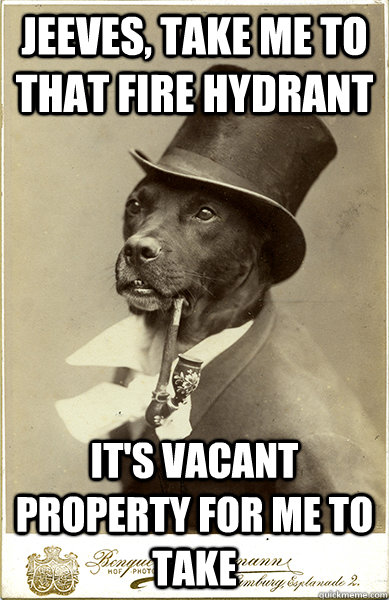 Jeeves, take me to that fire hydrant it's vacant property for me to take - Jeeves, take me to that fire hydrant it's vacant property for me to take  Old Money Dog