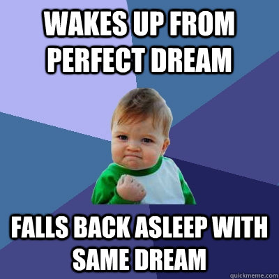 Wakes up from perfect dream falls back asleep with same dream  Success Kid