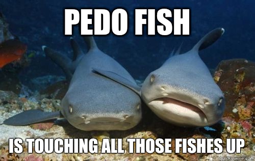 pedo fish  is touching all those fishes up   Compassionate Shark Friend