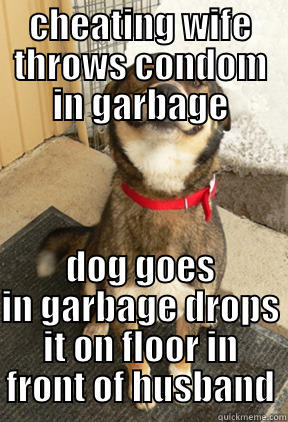 CHEATING WIFE THROWS CONDOM IN GARBAGE DOG GOES IN GARBAGE DROPS IT ON FLOOR IN FRONT OF HUSBAND Good Dog Greg