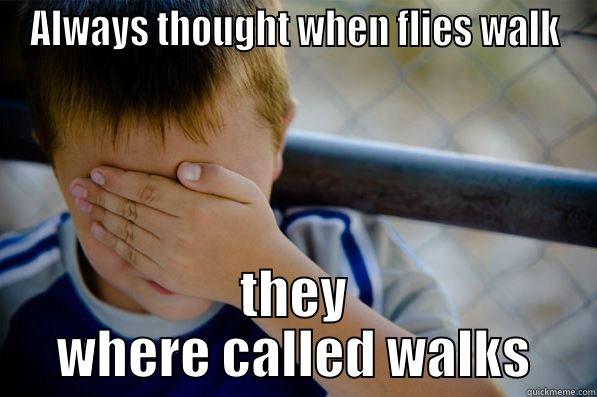 ALWAYS THOUGHT WHEN FLIES WALK THEY WHERE CALLED WALKS Confession kid