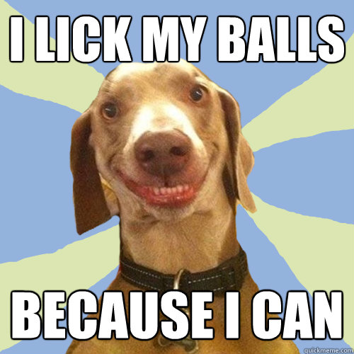 I lick my balls because i can  Disgusting Doggy