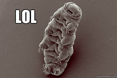 LOL - LOL  Waterbear