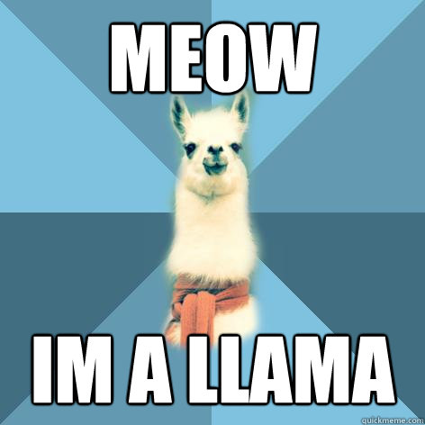 meow im a llama
  Linguist Llama