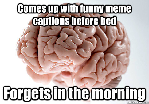 Comes up with funny meme captions before bed Forgets in the morning  Scumbag Brain