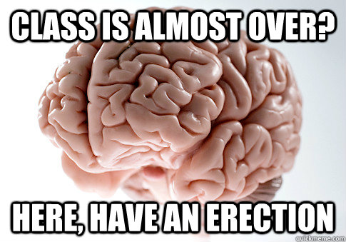 Class is almost over? here, have an erection  Scumbag Brain