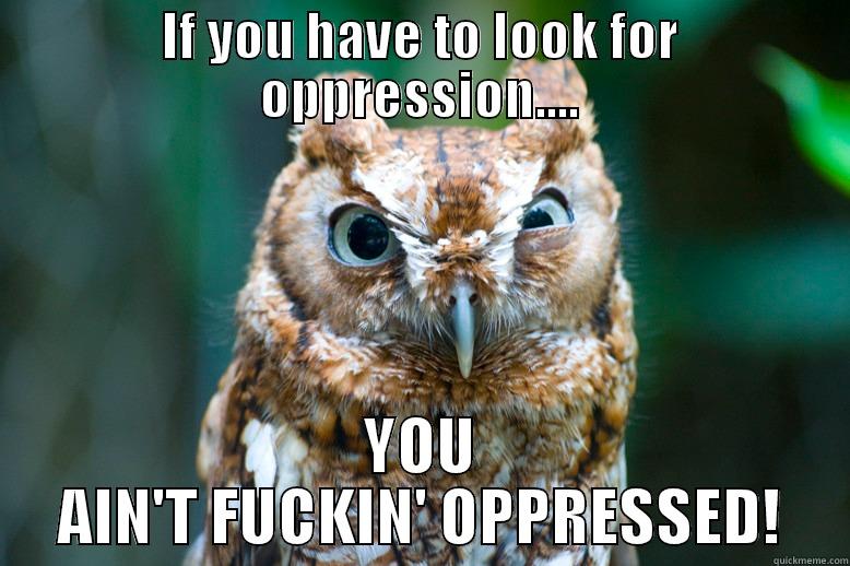 Pissed Off Owl - IF YOU HAVE TO LOOK FOR OPPRESSION.... YOU AIN'T FUCKIN' OPPRESSED! Misc