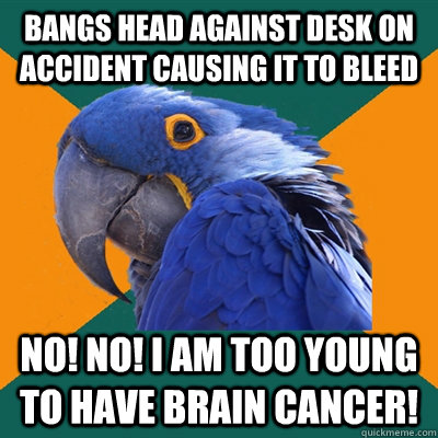 Bangs head against desk on accident causing it to bleed No! NO! I am too young to have brain cancer!  Paranoid Parrot