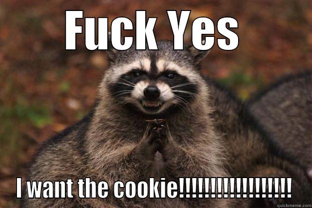 FUCK YES I WANT THE COOKIE!!!!!!!!!!!!!!!!!! Evil Plotting Raccoon