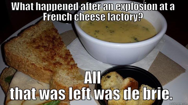 WHAT HAPPENED AFTER AN EXPLOSION AT A FRENCH CHEESE FACTORY? ALL THAT WAS LEFT WAS DE BRIE.  Misc