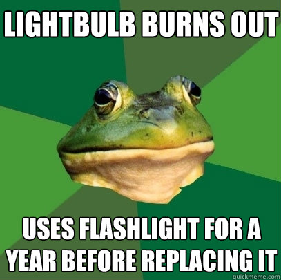 lightbulb burns out uses flashlight for a year before replacing it  Foul Bachelor Frog