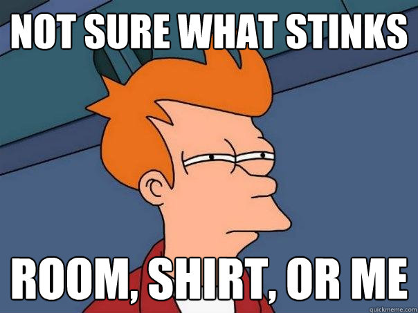 Not sure what stinks Room, shirt, or me  Futurama Fry