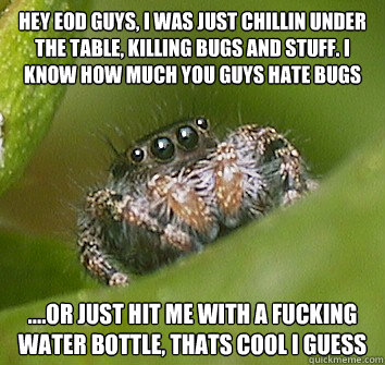 HEY EOD GUYS, I WAS JUST CHILLIN UNDER THE TABLE, KILLING BUGS AND STUFF. I KNOW HOW MUCH YOU GUYS HATE BUGS ....OR JUST HIT ME WITH A FUCKING WATER BOTTLE, THATS COOL I GUESS  Misunderstood Spider