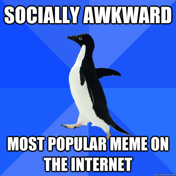 Socially awkward Most popular meme on the internet  Socially Awkward Penguin