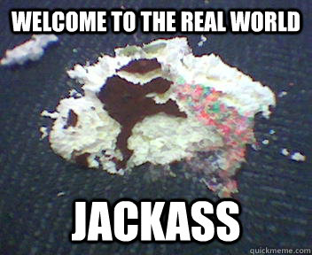 WELCOME TO THE REAL WORLD  JACKASS - WELCOME TO THE REAL WORLD  JACKASS  Lonelyisland