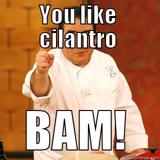 You like cilantro - YOU LIKE CILANTRO BAM! Misc