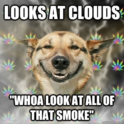 Looks at clouds 