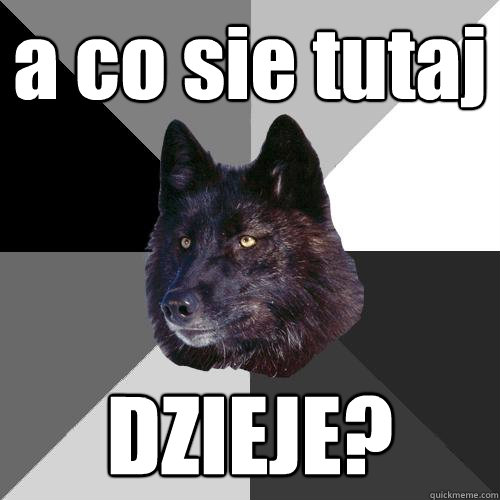 a co sie tutaj DZIEJE?  Sanity Wolf