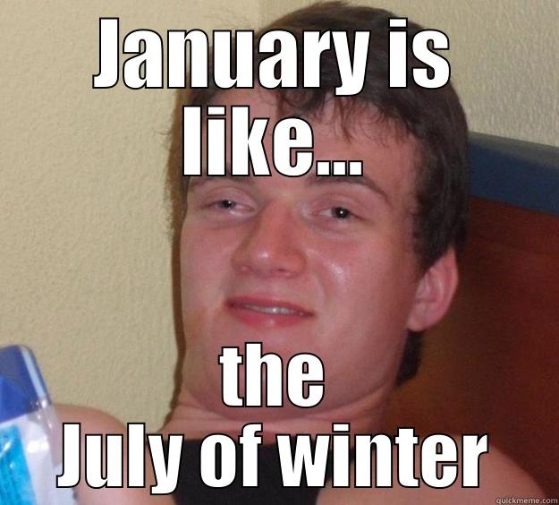 JANUARY IS LIKE... THE JULY OF WINTER 10 Guy