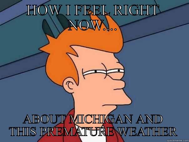 HOW I FEEL RIGHT NOW.... ABOUT MICHIGAN AND THIS PREMATURE WEATHER Futurama Fry