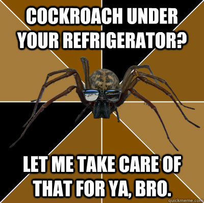 Cockroach under your refrigerator? Let me take care of that for ya, bro.  