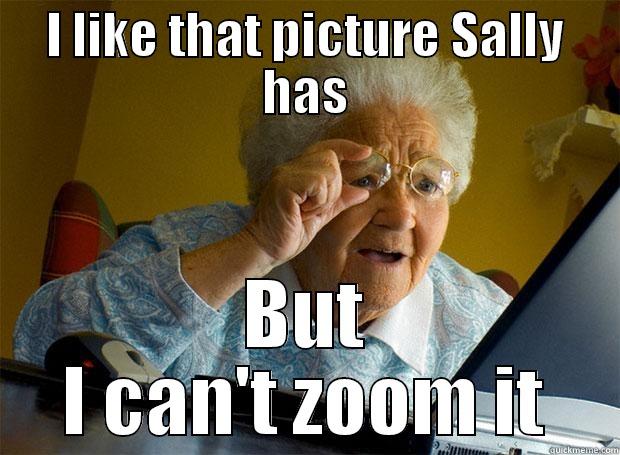 I LIKE THAT PICTURE SALLY HAS BUT I CAN'T ZOOM IT Grandma finds the Internet