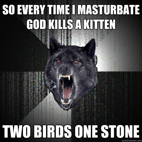 so every time i masturbate god kills a kitten two birds one stone  Insanity Wolf