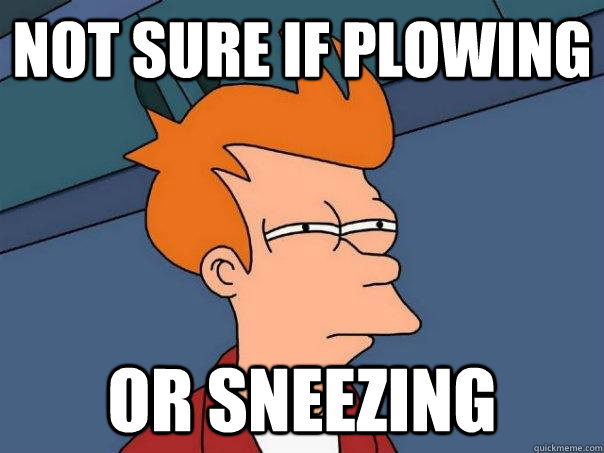 Not sure if plowing  Or sneezing  - Not sure if plowing  Or sneezing   Futurama Fry