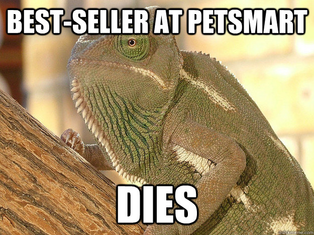 best-seller at petsmart dies  Bad Kharma Chameleon