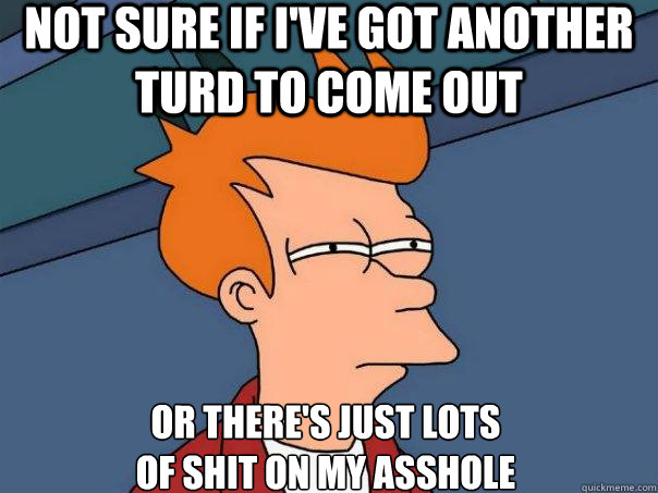 Not sure if I've got another turd to come out Or there's just lots 
of shit on my asshole  Futurama Fry