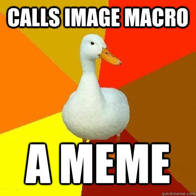 Calls image macro a meme  Tech Impaired Duck