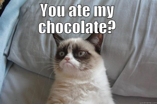 YOU ATE MY CHOCOLATE?  Grumpy Cat