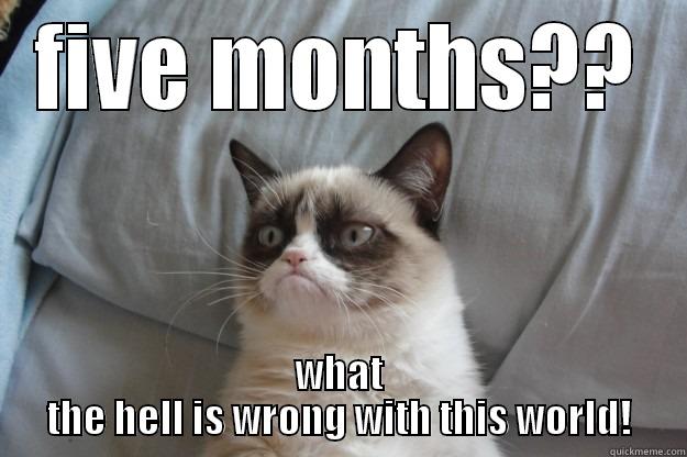 5 months monthversary - FIVE MONTHS?? WHAT THE HELL IS WRONG WITH THIS WORLD! Grumpy Cat