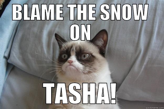 BLAME THE SNOW ON TASHA! Grumpy Cat