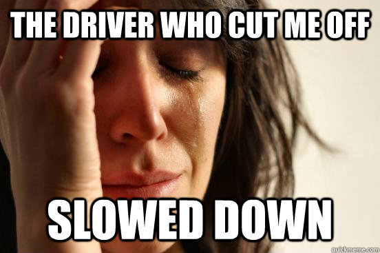 The driver who cut me off slowed down  First World Problems