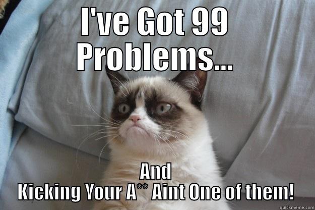 I'VE GOT 99 PROBLEMS... AND KICKING YOUR A** AINT ONE OF THEM! Grumpy Cat