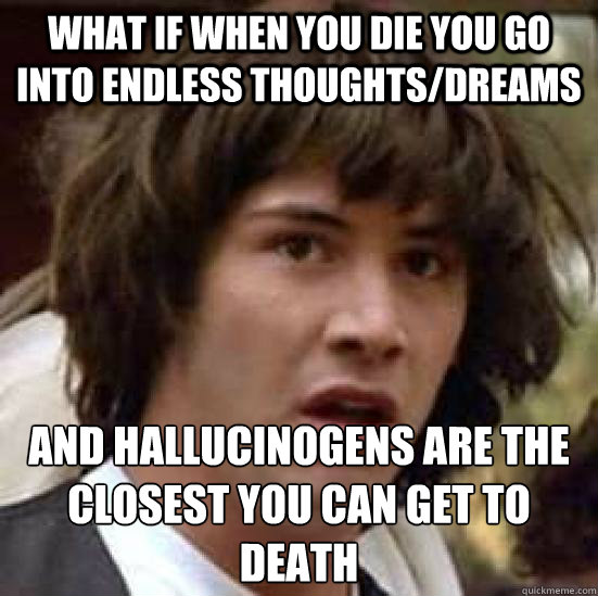 what if when you die you go into endless thoughts/dreams and hallucinogens are the closest you can get to death  conspiracy keanu