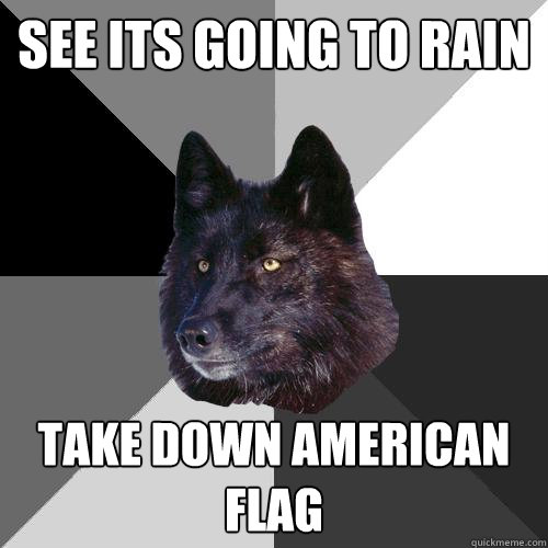 see its going to rain take down american flag  Sanity Wolf