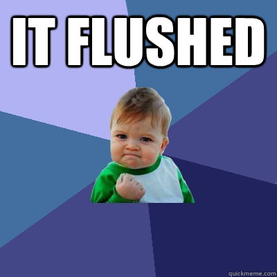 It flushed   Success Kid