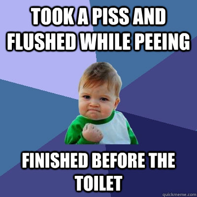 Took a piss and flushed while peeing Finished before the toilet  Success Kid